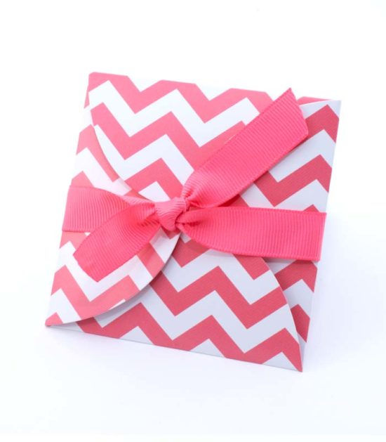 PTL00620 - Coral Chevron Petal Envelope