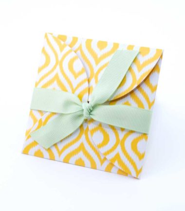 PTL00720 - Mellon Ikat Petal Envelope
