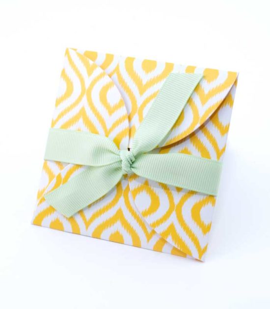 PTL00720 - Mellon Ikat Petal Envelope